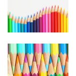 Lire la suite à propos de l’article TEST 1